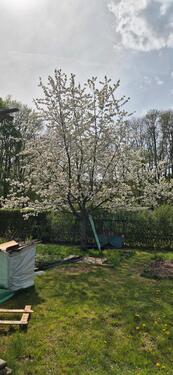 Foto - Grundst&uuml;ck in Ohrdruf