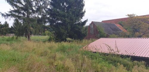 Foto - andere in Kirchlinteln