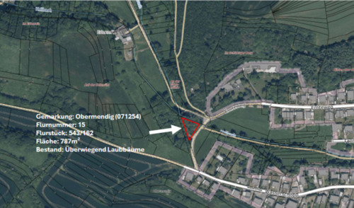 Foto - Waldgrundstück Wald in Ortsrandlage - Mendig (Obermendig)
