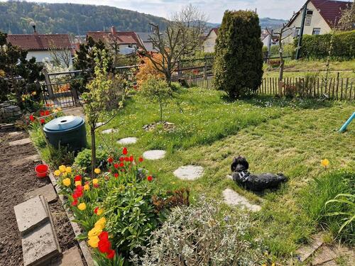 Foto - Grundst&uuml;ck in Eisenach zur Miete