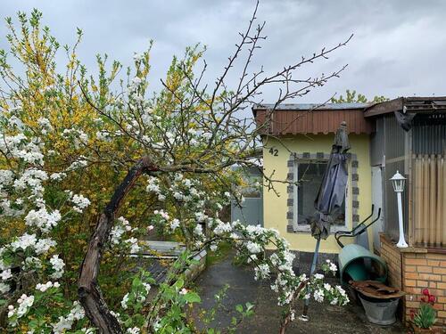 Foto - Garten in Schwedt - 100,00&nbsp;EUR Kaltmiete, ca.&nbsp; 0,00&nbsp;m&sup2;