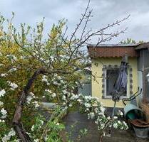 Garten in Schwedt - 100,00&nbsp;EUR Kaltmiete, ca.&nbsp; 0,00&nbsp;m&sup2; in Schwedt (Oder) (PLZ: 16303)