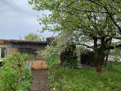 Foto - Grundst&uuml;ck zur Miete in Schwedt (Oder)