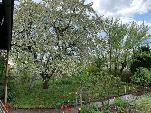 Foto - Grundst&uuml;ck in Schwedt (Oder)