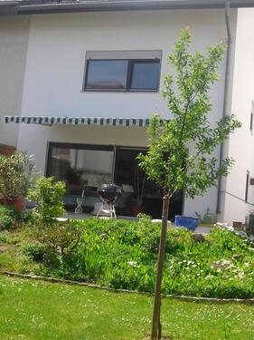 Foto - Einfamilienhaus zum Kaufen in Lorsch