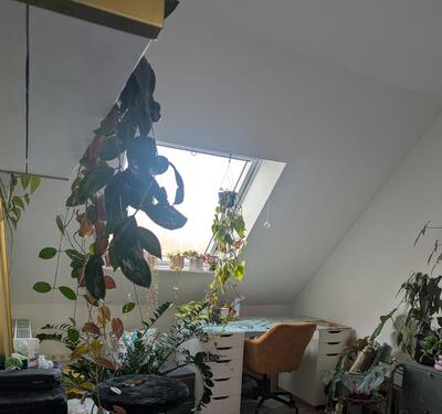 Foto - Dachgeschoßwohnung in Gelsenkirchen zur Miete