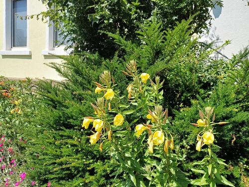 Foto - Uninahes Mieten auf Zeit für Studenten , Dozenten, Unimitarbeiter