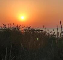 TOP Meerblick Ferienwohnung Ostsee 1.Reihe Schönberger Strand - Schönberg (Holstein)