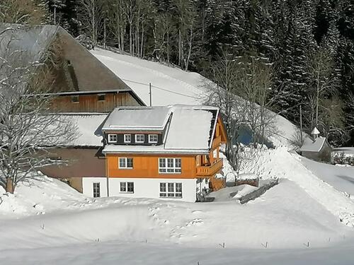 Foto - 
