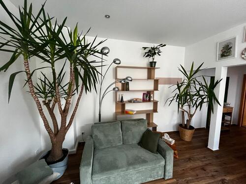 Foto - 3 Zimmer Etagenwohnung zur Miete in Chemnitz