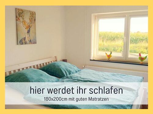 Foto - Ferienwohnung an der Ostsee Urlaub für Familien und Paare