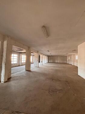 Foto - andere in Belgern-Schildau