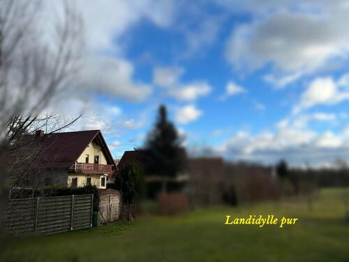 Foto - 