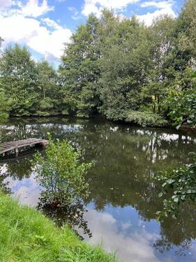 Foto - Erster Monat kostenlos! Naturparadies an zwei Seen zur Pacht