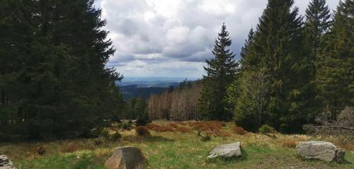 Foto - andere zur Miete in Braunlage