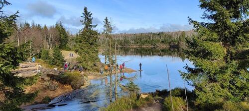 Foto - andere in Braunlage