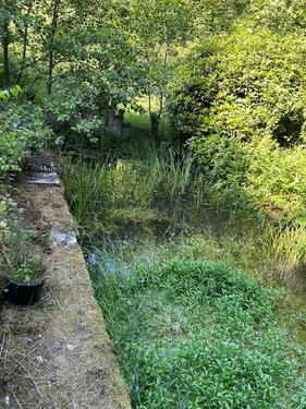 Foto - 5 Zimmer Einfamilienhaus in Windeck