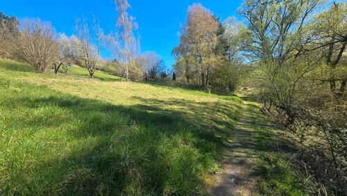 Foto - Obstbaumwiese in Winnenden Breuningsweiler zu verpachten