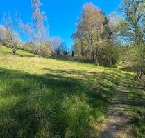 Obstbaumwiese in Winnenden Breuningsweiler zu verpachten