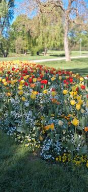 Foto - Garten Pachten heilbronn - 3.000,00&nbsp;EUR Kaltmiete, ca.&nbsp; 0,00&nbsp;m&sup2;