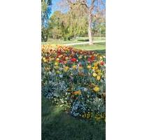 Garten Pachten heilbronn - 3.000,00&nbsp;EUR Kaltmiete, ca.&nbsp; 0,00&nbsp;m&sup2; in Heilbronn (PLZ: 74072)