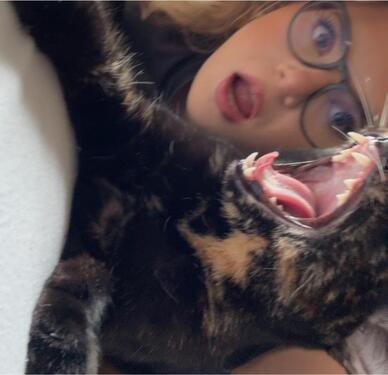 Foto - Wohnung in Berlin - 1.200,00&nbsp;EUR Kaltmiete, ca.&nbsp; 40,00&nbsp;m&sup2;