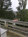 Foto - Etagenwohnung zur Miete in Bad Lauterberg im Harz