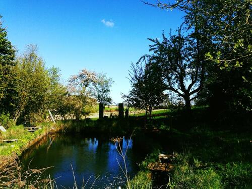 Foto - Hof-Wohngemeinschaft im Grünen – 3 gleich große Zi, ca.180 qm