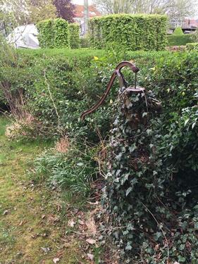 Foto - Doppelhaushälfte zum Kaufen in Salzkotten