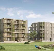 Neubau 2-Zi.-Mietwohnung am Spinelli Park für 1 Person Mannheim