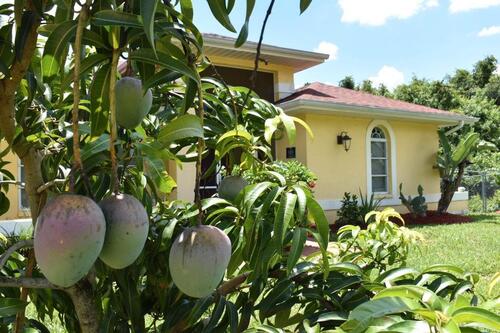 Foto - andere in Saulheim