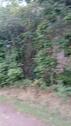 Foto - Haus mit Natur in Stehla Arzberg an der Elbe