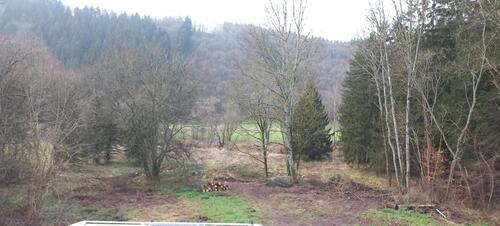 Foto - andere zur Miete in Schleiden
