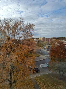Foto - 3 ZKB Wohnung auf Eigentumsgrundstück stadtnah und doch im Grünen