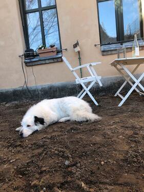 Foto - 2 Zimmer Maisonettenwohnung zur Miete in Berlin