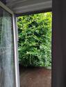 Foto - Etagenwohnung in Oldenburg zur Miete