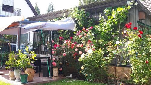 Foto - Einfamilienhaus in Offingen