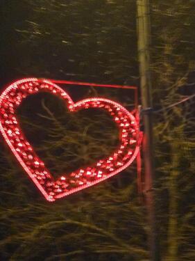 Foto - 3-Familienhaus in Horn-Bad Meinberg zu verkaufen