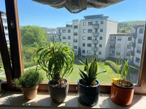 Foto - Etagenwohnung in Tübingen zum Kaufen