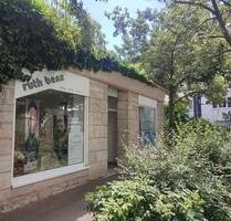 10008 Laden links - 700,00&nbsp;EUR Kaltmiete, ca.&nbsp; 49,65&nbsp;m&sup2; in Würzburg (PLZ: 97072) Sanderau
