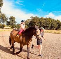 Ferienwohnung für 2-3 Personen auf dem Ponyhof Ostsee - Gelting