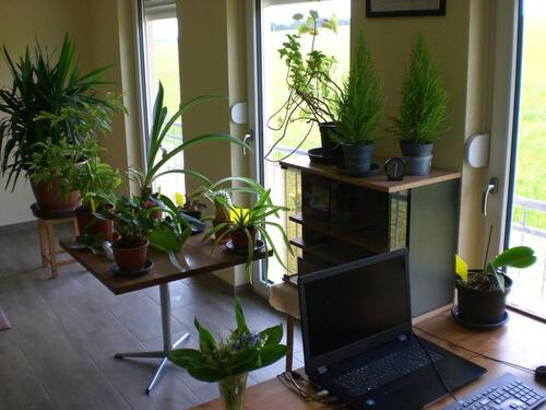 Foto - Einfamilienhaus in Elsterberg zum Kaufen