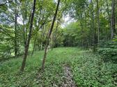 Foto - Grünland Freizeitgrundstück Wald, 3078 qm in Bamberg, Pacht