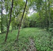 Grünland Freizeitgrundstück Wald, 3078 qm in Bamberg, Pacht