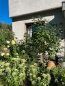 Foto - Terrassenwohnung in Solingen zum Kaufen