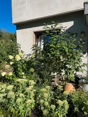 Foto - Terrassenwohnung in Solingen zum Kaufen