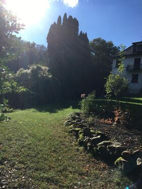 Foto - Einfamilienhaus zum Kaufen in Eppstein