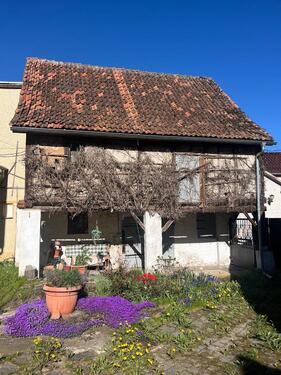 Foto - 9 Zimmer Bauernhaus, Landhaus zum Kaufen in Sangerhausen