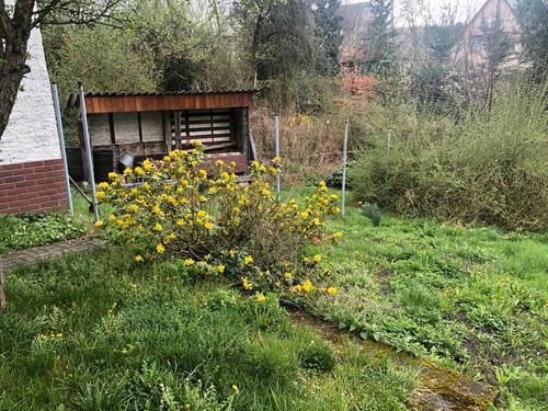 Foto - 6 Zimmer Einfamilienhaus in Saalburg-Ebersdorf