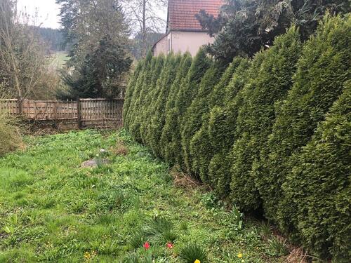 Foto - Einfamilienhaus in Saalburg-Ebersdorf zum Kaufen